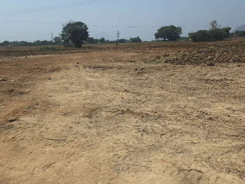 Wide internal Cement Concrete (CC) roads and demarcated plots at Grand View Gardens