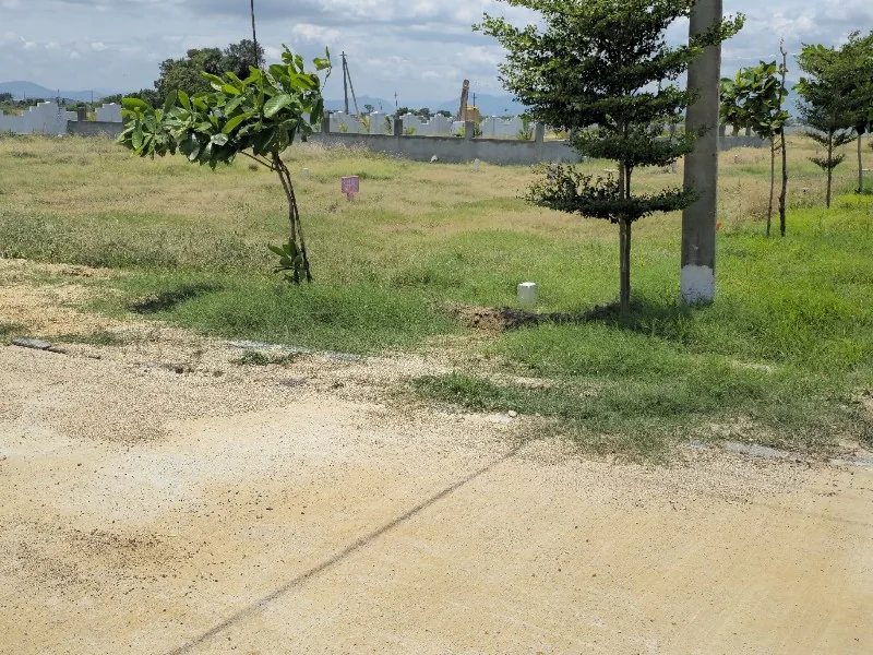 Stormwater Drainage and Road Curbstones