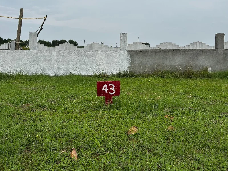 Individual Plot Numbering & Boundary Pegs