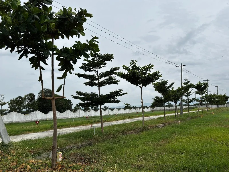 High-Connectivity Yerpedu Growth Belt